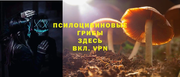дурь Надым