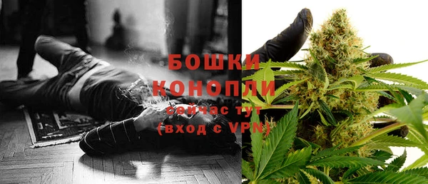 дурь Надым